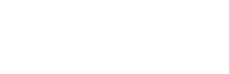 The Icon Index